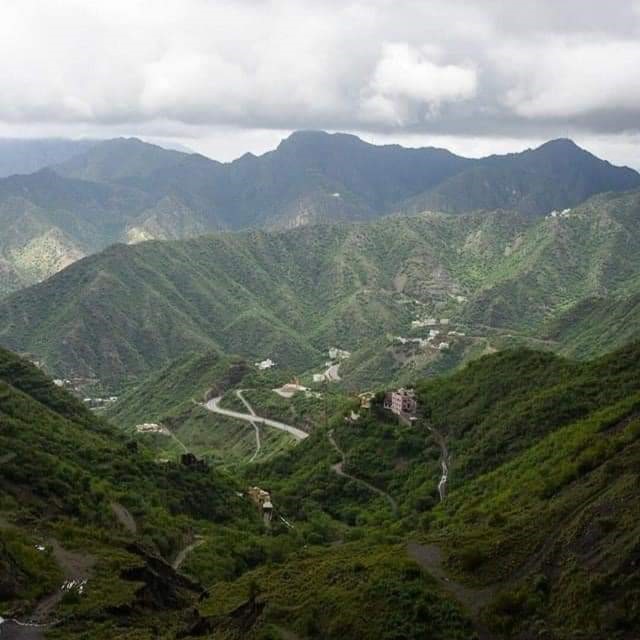 مأذون-شرعي-أبها